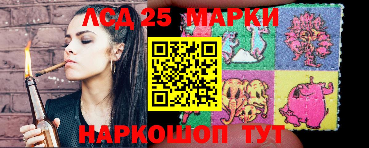 A PVP Кудрово