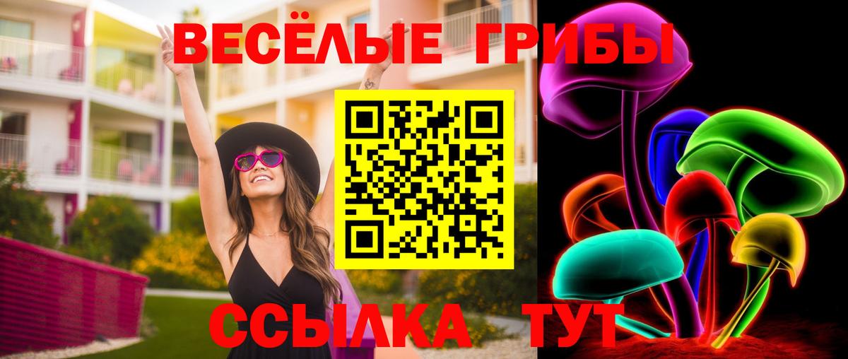 Галлюциногенные грибы MAGIC MUSHROOMS Кудрово